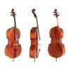 Cello Gewa Ideale 3/4 Komplett