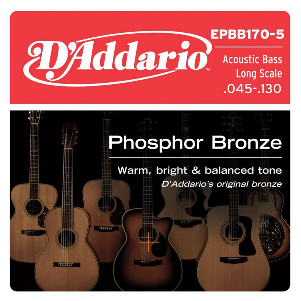 Bassgitarstrenger Akustisk D'Addario EPBB170 Bronze