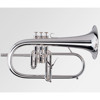 Bugel Adams Sonic Serie, Gold brass, 160mm/ML10,5mm/0.50, Silver plated