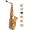 Altsaksofon Selmer Serie III, Sterling Silver Engraved + Clear Lacquer Keys, Outfit