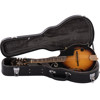 Mandolin Morgan M 70 E AV Elektrisk m/etui
