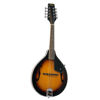 Mandolin Morgan M20VS