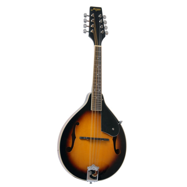 Mandolin Morgan M20VS