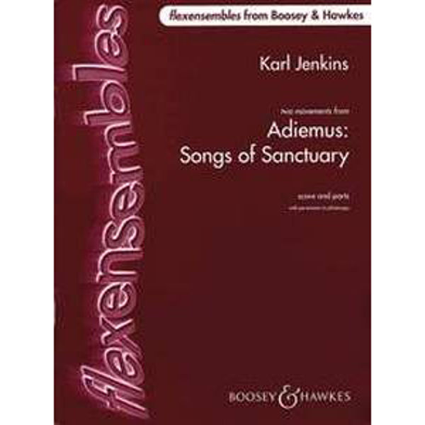 Adiemus: Song of Sanctuary. Two Movements, Karl Jenkins, Flexi Ensemble