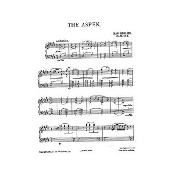 Twelve Selected Pieces Vol. 2 - Jean Sibelius - Piano