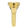 Munnstykke Trombone Denis Wick Classic 10CS (forgylt)