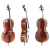 Cello Gewa Allegro 4/4  Komplett