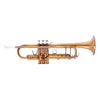 Trompet Bb JP253ASW Antikk