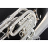 Baritone JP373 Sterling Lakkert