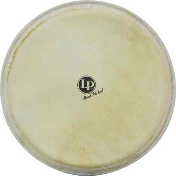 Djembeskinn LP, LP961, Professional 12 1/2 Natural Goat Head