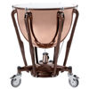 Pauke Ludwig Standard LTS432PG, 32 Polished Copper w/TG