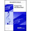Trumpets Wild (Harold Walters) - Brass Band - Cornet trio