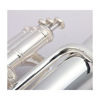 Prelude de Concert,  P. Code arr Stuart Pullin. Brass Band