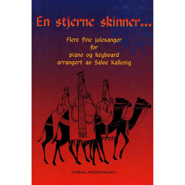 En stjerne skinner i natt, Salve Kallevig - Piano/Keyboard