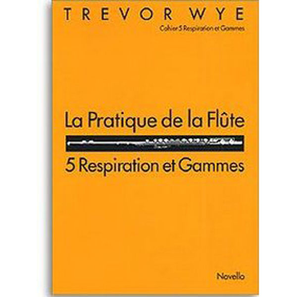 La pratique de la flute - Trevor Wye