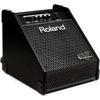 Monitor Roland PM-100, Monitor for V-Drums, 80W