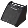 Monitor Roland PM-200, Monitor for V-Drums, 180W