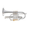 Kornett Stomvi Bb Titan Gold Brass Bell Silverplated  (incl. Dynasound valve guide, Valve Clappers Bottom Cap Clappers)