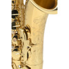 Altsaksofon Selmer AXOS Vernis, Lacquered, Outfit