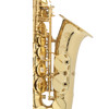 Altsaksofon Selmer AXOS Vernis, Lacquered, Outfit