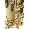 Altsaksofon Selmer AXOS Vernis, Lacquered, Outfit