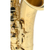 Altsaksofon Selmer AXOS Vernis, Lacquered, Outfit