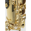 Tenorsaksofon Selmer AXOS Vernis, Lacquered, Outfit