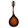 Mandolin Morgan M20VS