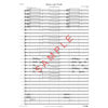 Sollicitus for Concert Band and Percussion - CB5 Fredrick Schjelderup