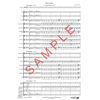 Tuba Tornado - Solo for Tuba and Band - Young Band Classics Grade 2,5 Hans Offerdal