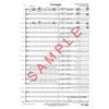 Fernando - Young Band Entertainment Grade 2,5 Andersson, Ulvaeus & Anderson/Arr: Idar Torskangerpoll