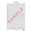 Trumpetino - Solo for Trumpet and CB 3,5(3) Geir Sundbø