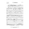 Ludens - Sonata for Fløyte og Gitar, Arild Jensen