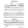 Harmonies du Soir pour Grand Orgue, Franz Liszt - Orgel
