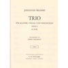 Piano Trio Nr 1 Op 8 B-major, Piano, Violin and Cello. Johannes Brahms