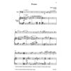 Pronto for Tuba and Piano, Rainer Lischaka