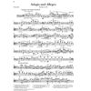 Adagio and Allegro op. 70 for Piano and Horn (Version for Violoncello) , Robert Schumann - Piano and Violoncello