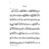 Sonata in a minor for Violin and Basso continuo, Johann Baptist Georg Neruda - Violin and Basso Continuo