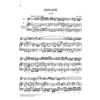 Flute Sonatas, Volume I  (The four authentic Sonatas - with Violoncello part), Johann Sebastian Bach - Flute and Piano