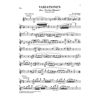 Variations on Trockne Blumen e minor op. post. 160 D 802 , Franz Schubert - Flute and Piano