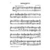 Impromptu c minor op. 90,1 D 899, Franz Schubert - Piano solo