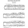 Leaves and Blossoms, Max Reger - Piano solo