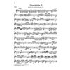 Flute Quartets for Flute, Violin, Viola and Violoncello, Wolfgang Amadeus Mozart - Chamber Music with Wind Instruments