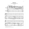 Piano Concerto in a minor op. 54, Robert Schumann - Piano solo