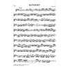 Concerto for Violin and Orchestra E major BWV 1042, Johann Sebastian Bach - Violin and Piano