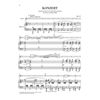 Violinkonzert g-moll Op. 26, Max Bruch. Violin and Piano