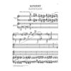 Piano Concerto a minor op. 16, Edvard Grieg - Two Pianos, 4-hands
