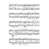 Violin Concerto in D major op. 77, Johannes Brahms - Violin, Piano