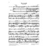 Serenade in D major op. 41 for Piano and Flute (Violin), Ludwig van Beethoven - Flute (Violin) and Piano