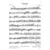Serenade in D major op. 41 for Piano and Flute (Violin), Ludwig van Beethoven - Flute (Violin) and Piano